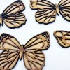 Woodology - Butterflies (Set of 4)
