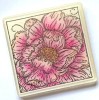 Colour Me - Camellia A6 Red Rubber Stamp