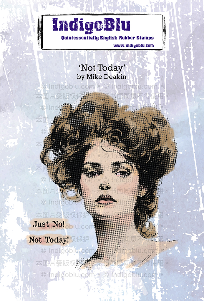 Not Today A6 Red Rubber Stamp - IndigoBlu